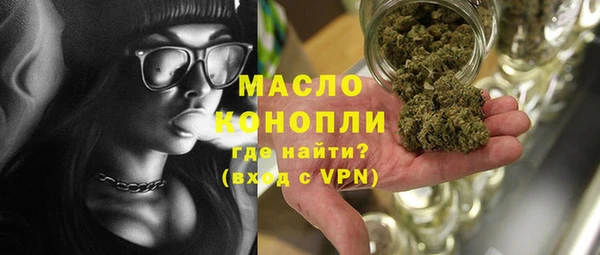 индика Козельск