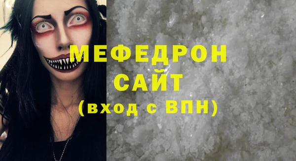индика Козельск