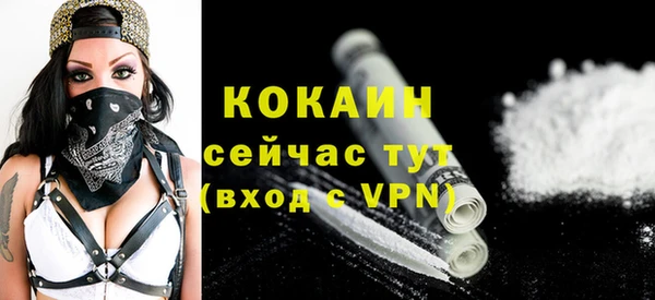 индика Козельск