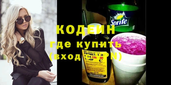apvp Кодинск