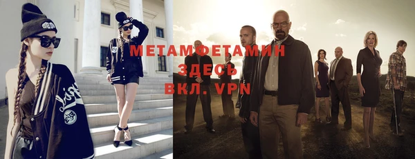 индика Козельск