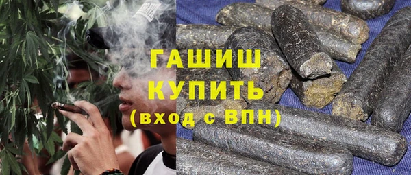 индика Козельск