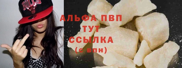индика Козельск