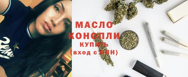 индика Козельск