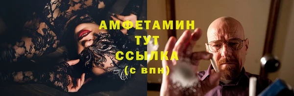 индика Козельск