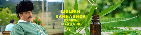 apvp Кодинск