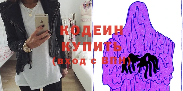 индика Козельск