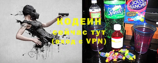 индика Козельск