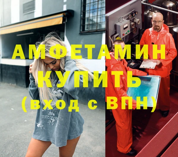 индика Козельск