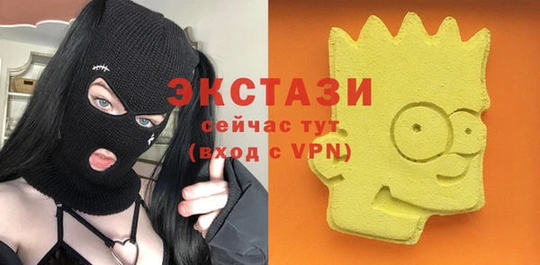 индика Козельск