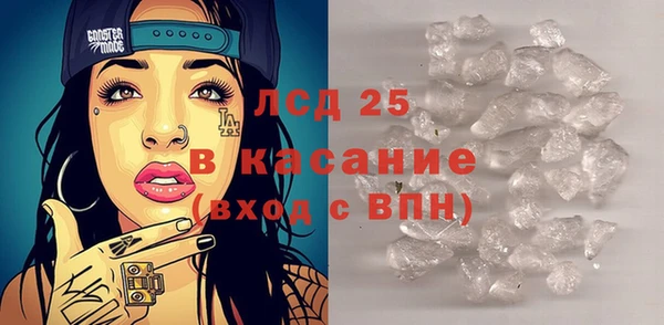 индика Козельск