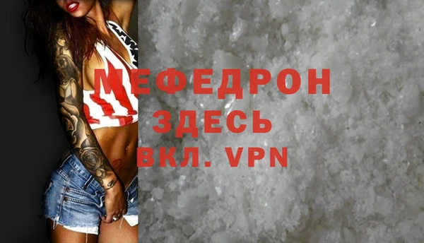 индика Козельск