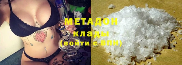 индика Козельск