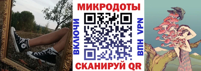 Купить где  Полярные Зори  Псилоцибиновые грибы Psilocybine cubensis 